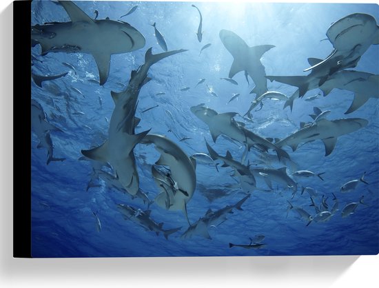 Canvas - Groep haaien zwemmen rond in de zee - 40x30 cm Foto op Canvas Schilderij (Wanddecoratie op Canvas)