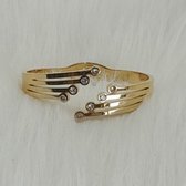 Dames Armband - Bangle - Roestvrij Staal- Breed met scharniersluiting