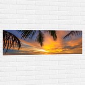 Muursticker - Palmbladeren Hangend boven het Strand aan de Zee - 120x40 cm Foto op Muursticker