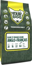 Yourdog grand anglo-francais blanc et orange pup - 3 KG