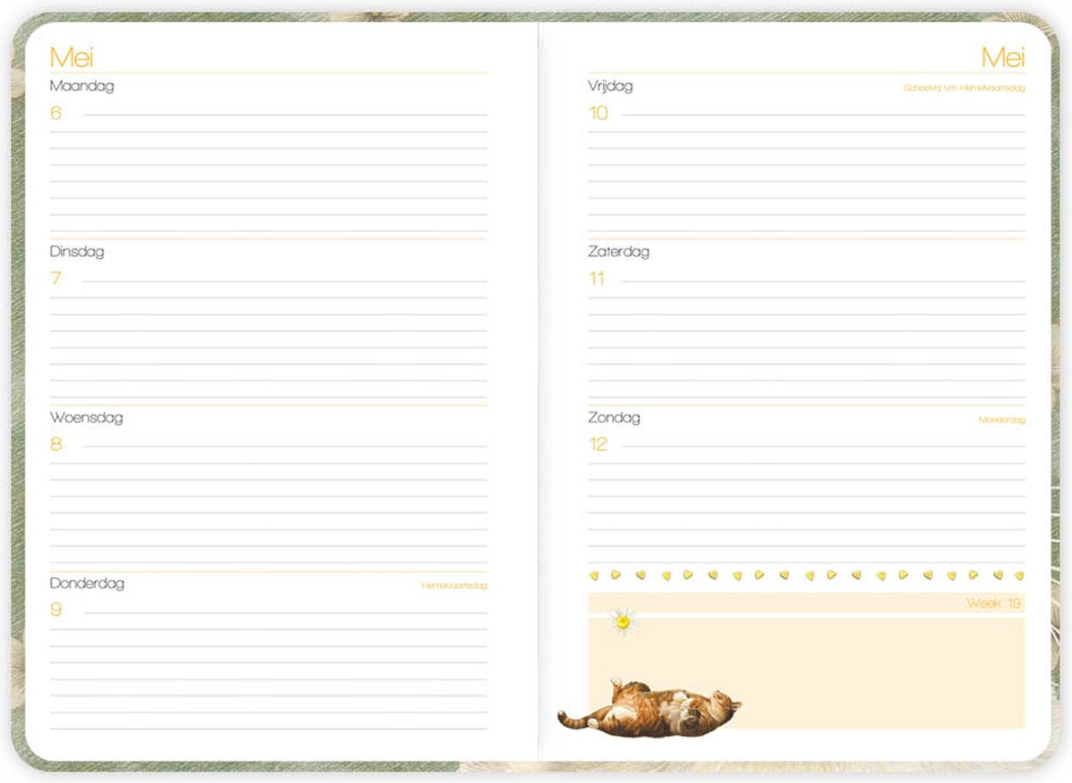 Franciens Katten weekagenda Conny | bol