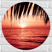 Muursticker Cirkel - Palmbladeren Hangend boven Zee met Rode Gloed - 50x50 cm Foto op Muursticker
