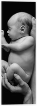 Acrylglas - Pasgeboren Baby in Handen van Vader (Zwart- wit) - 20x60 cm Foto op Acrylglas (Wanddecoratie op Acrylaat)