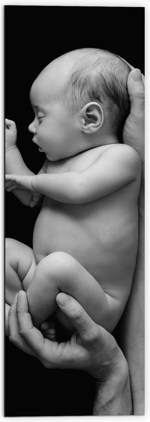 Dibond - Pasgeboren Baby in Handen van Vader (Zwart- wit) - 50x150 cm Foto op Aluminium (Wanddecoratie van metaal)