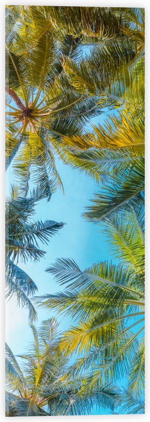 Acrylglas - Onderaanzicht van Tropische Palmbomen onder Stralend Blauwe Lucht - 20x60 cm Foto op Acrylglas (Wanddecoratie op Acrylaat)