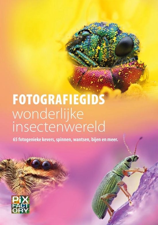 Foto: Fotografiegidsen macro 3 fotografiegids wonderlijke insectenwereld