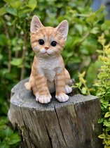 Kat zittend klein rood 20 cm hoog - kat - kitten - polyester - polyresin - polystone - hoogkwalitatieve kunststof - decoratiefiguur - interieur - accessoire - voor binnen en buiten - cadeau - geschenk - tuinfiguur - tuinbeeldje - tuindecoratie
