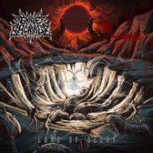 Grave Of Sacrifice - Land Of Decay (CD)