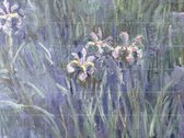 IXXI Iris - Claude Monet - Wanddecoratie - 120 x 160 cm