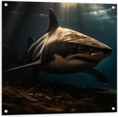 Tuinposter – Grote witte haai diep in de zee in donkere omgeving - 80x80 cm Foto op Tuinposter (wanddecoratie voor buiten en binnen)