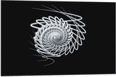 Vlag - Zwart - Wit - Lijnen - Vorm - Rondje - 75x50 cm Foto op Polyester Vlag