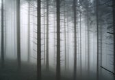 Fotobehang - Vlies Behang - Bos in Mist - 460 x 300 cm