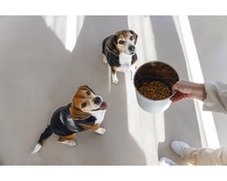 Designed by Lotte Voorraadbus Canisto - Hond - RVS - Lichtgrijs - 17x17x21cm