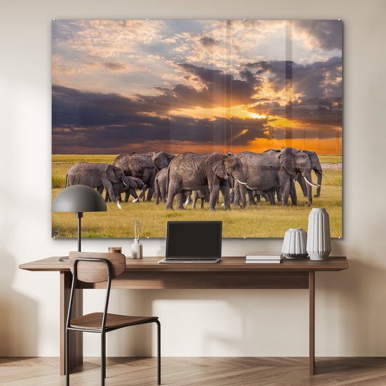 MuchoWow® Peinture sur verre 160x120 cm - Peinture sur verre acrylique - Éléphant - Animaux - Herbe - Coucher de soleil - Nature - Photo sur verre - Peintures