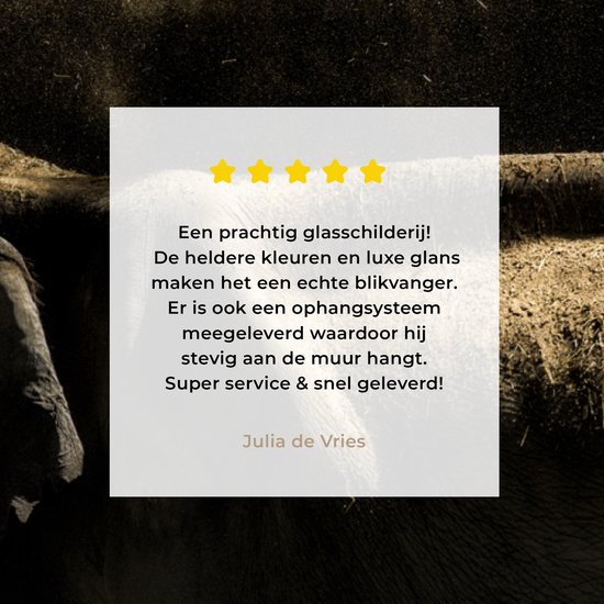 MuchoWow® Peinture sur verre 90x60 cm - Peinture sur verre acrylique - Éléphant - Boue - Animaux - Zwart - Photo sur verre - Peintures