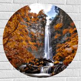 Muursticker Cirkel - Hoge Waterval van Rots in Herfstig Bos - 70x70 cm Foto op Muursticker