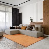Karpet24 Loft modern pluizig laagpolig tapijt - 80 x 150 cm rechthoek antislip onderkant, wasbaar tot 30 graden, heerlijk zacht, bontlook, terra