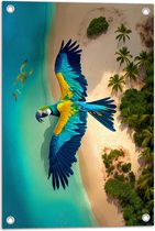Tuinposter – Blauw met Gele Are Papegaai Vliegend boven Eiland - 40x60 cm Foto op Tuinposter (wanddecoratie voor buiten en binnen)