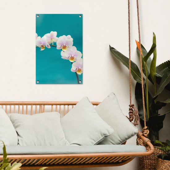 Décoration de jardin Orchidée - Fleurs - Plante - Wit - Violet - 40x60 cm - Poster jardin - Toile jardin - Poster extérieur
