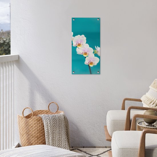 Poster de jardin Orchidée - Fleurs - Plante - Wit - Violet - 30x60 cm - Toile jardin - Poster extérieur