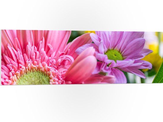 PVC Schuimplaat- Close-up van Gekleurde Roze Bloemen - 120x40 cm Foto op PVC Schuimplaat