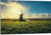 Dibond - Landschap - Water - Sloot - Molen - Gras - 105x70 cm Foto op Aluminium (Wanddecoratie van metaal)