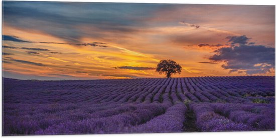 Vlag - Landschap - Bloemen - Planten - Boom - Lavendel - Zonsondergnag - Paars - 100x50 cm Foto op Polyester Vlag