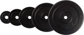Set de plaques de poids VirtuFit en fonte - 2 x 10 kg