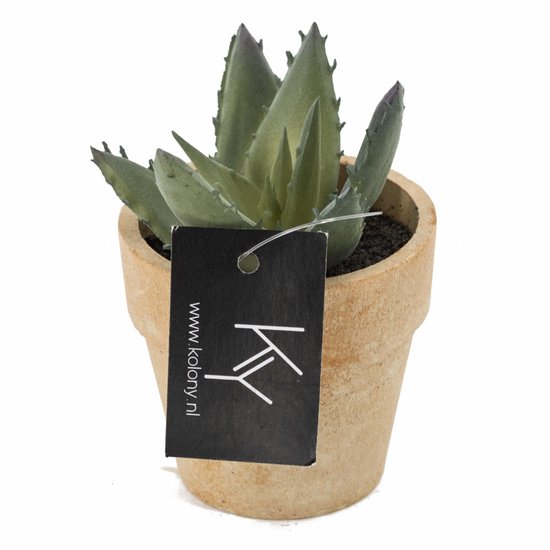 Een kunstvetplantje met puntige, groene bladeren in een terracotta potje met het Kolony logo.
