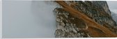 Acrylglas - Persoon - Bergen - Bergtop - Mist - Wolken - Bruin - 60x20 cm Foto op Acrylglas (Met Ophangsysteem)