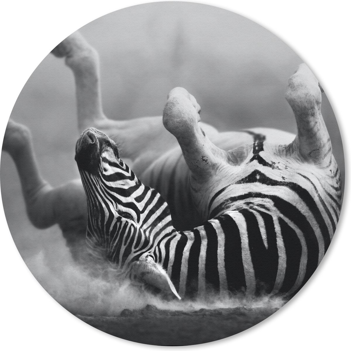 Muismat rond 30x30 cm - Mousepad Zebra - Dieren - Zwart - Wit - Ronde muismatten