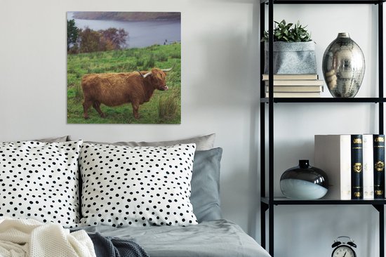 Peinture sur toile Highlander écossais - Herbe - Water - Animaux - 50x50 cm - Décoration murale