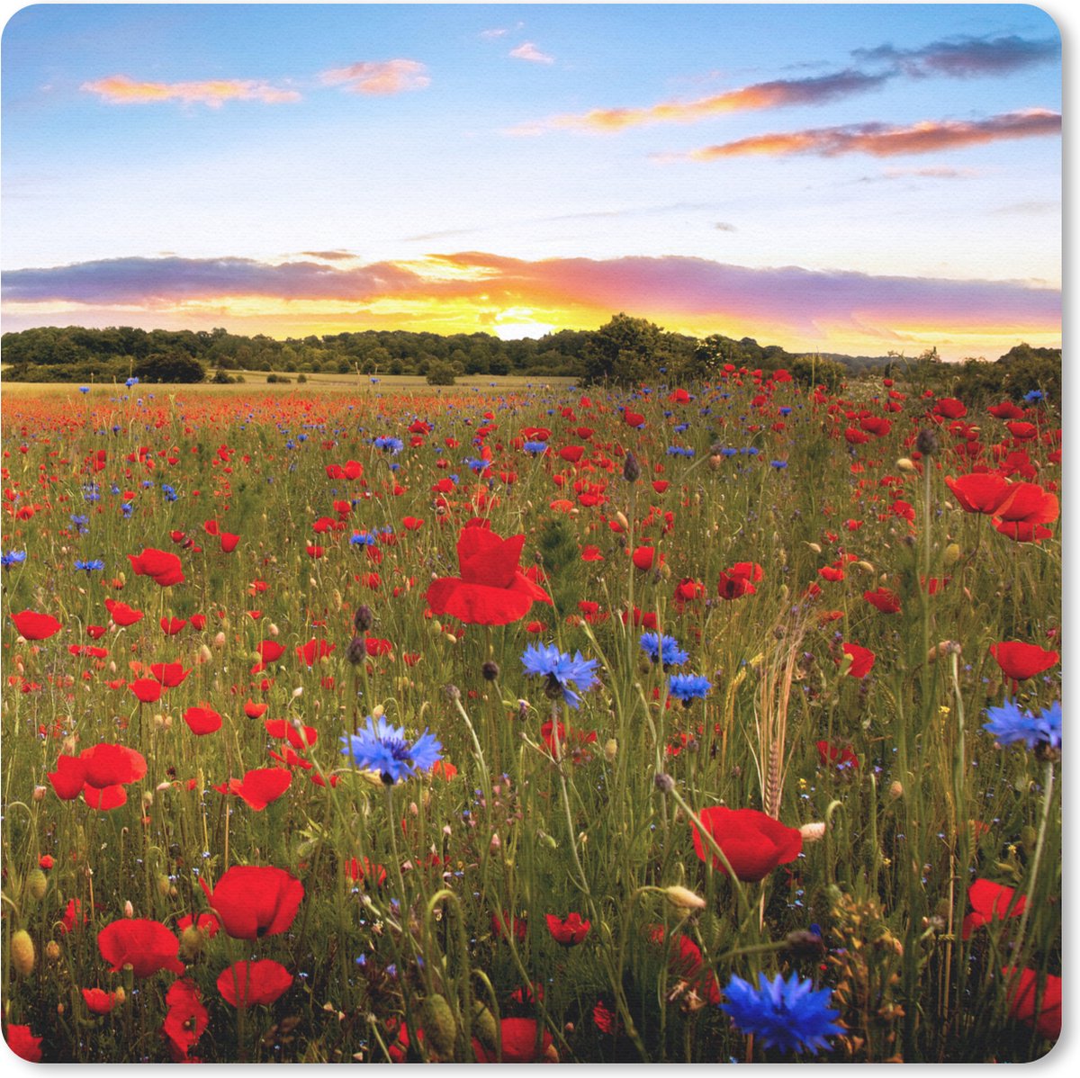 Muismat 30x30 cm - Mousepad Bloemen - Zonsondergang - Kleuren - Muismatten