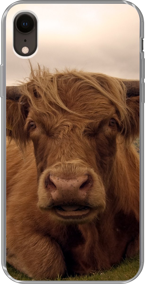 Telefoonhoesje Geschikt voor iPhone XR hoesje - Schotse Hooglander - Dieren - Berg - Siliconen Telefoonhoesje Telefoonhoesje