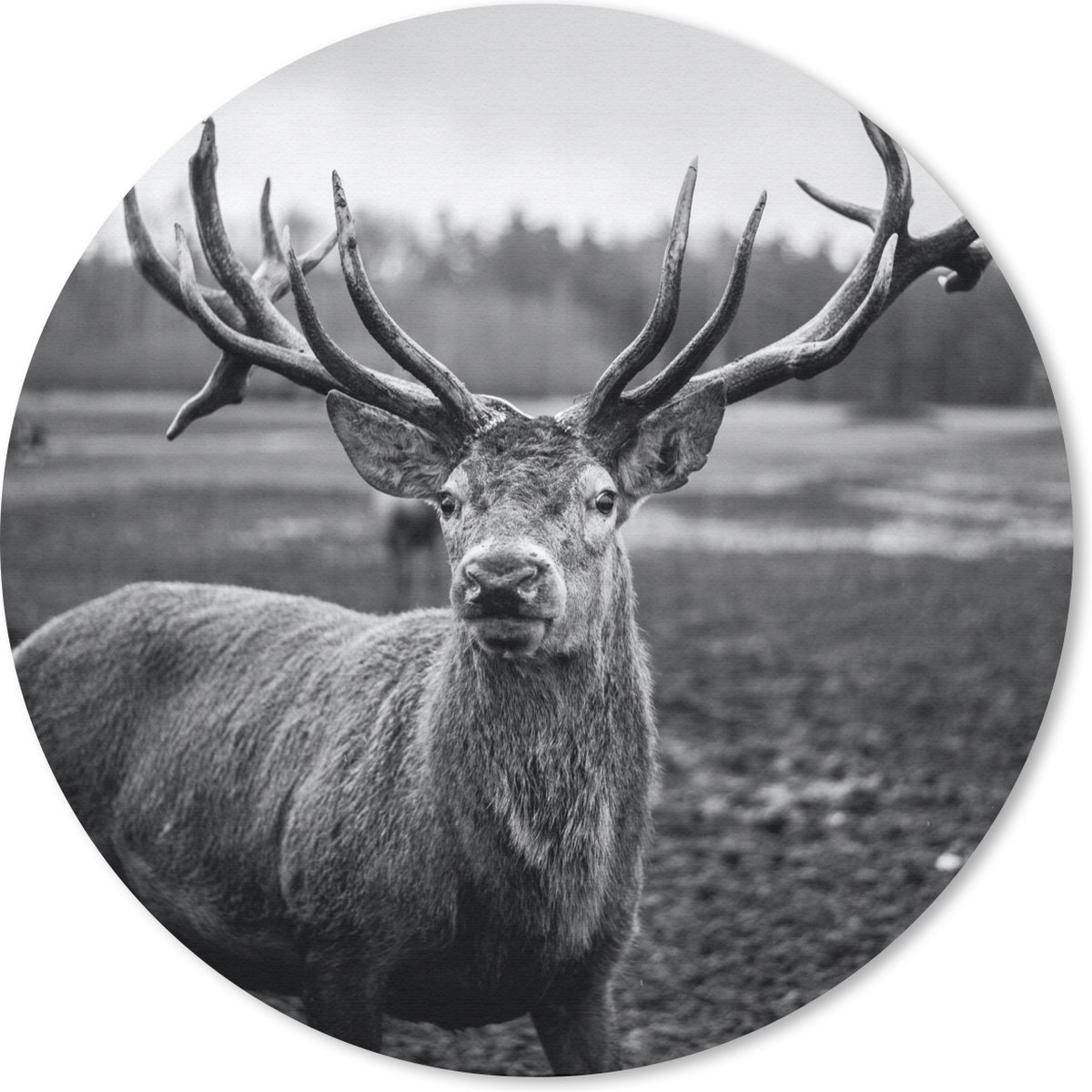 Muismat rond 30x30 cm - Mousepad Dieren - Hert - Gewei - Zwart wit - Natuur - Ronde muismatten