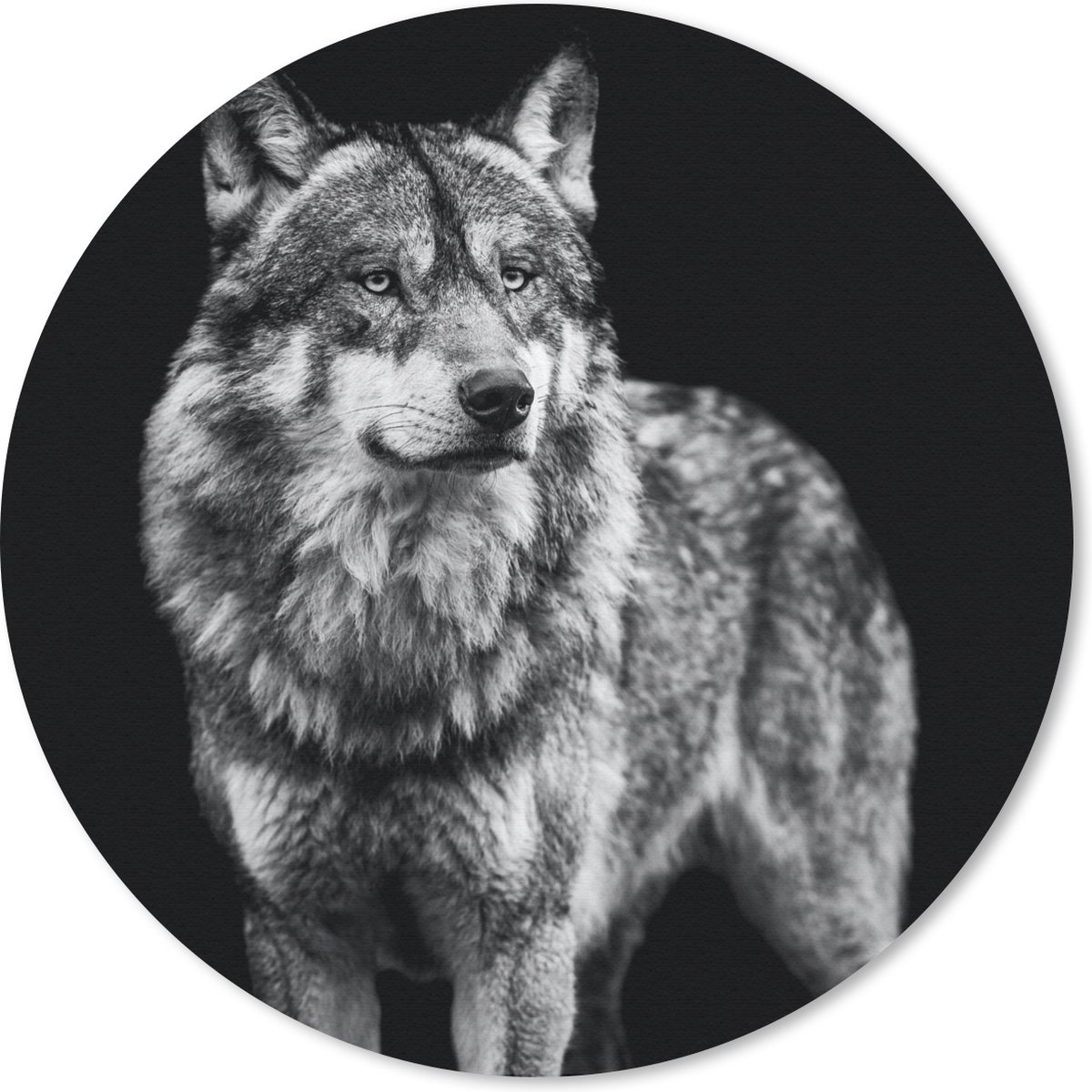 Muismat rond 40x40 cm - Mousepad Wolf - Dieren - Wild - Zwart - Wit - Ronde muismatten