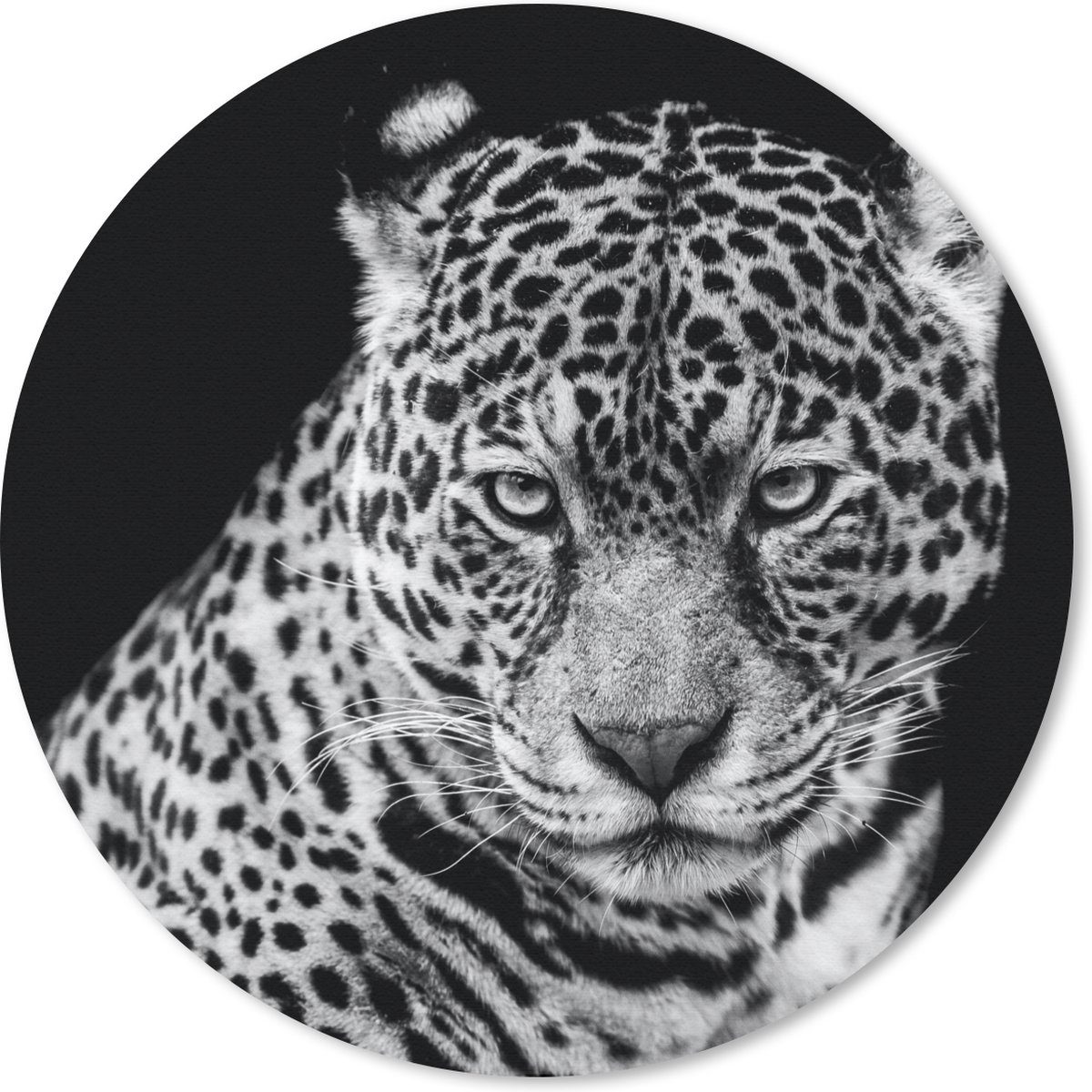 Muismat rond 40x40 cm - Mousepad Luipaard - Dieren - Zwart - Wit - Portret - Ronde muismatten