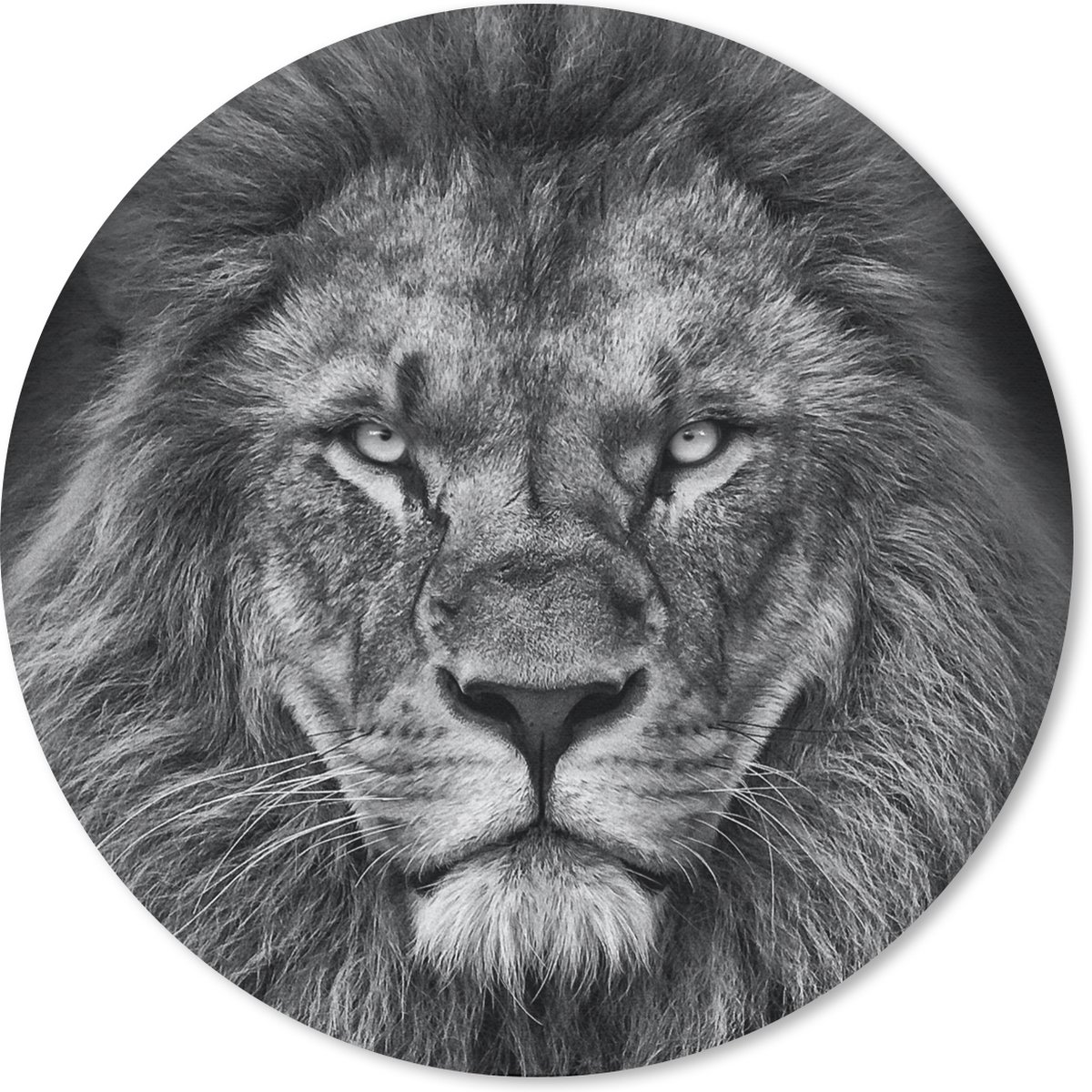 Muismat rond 30x30 cm - Mousepad Dieren - Leeuw - Zwart - Wit - Portret - Ronde muismatten