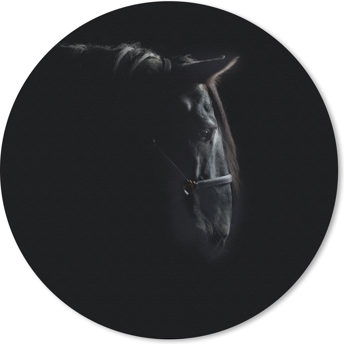 Muismat rond 40x40 cm - Mousepad Paard - Licht - Zwart - Ronde muismatten