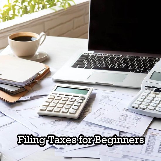 Filing Taxes for Beginners (ebook), Nicky Huys 9798223173427 Boeken