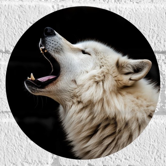 Muursticker Cirkel - Zijaanzicht van Brullende Witte Wolf tegen Zwarte Achtergrond - 20x20 cm Foto op Muursticker