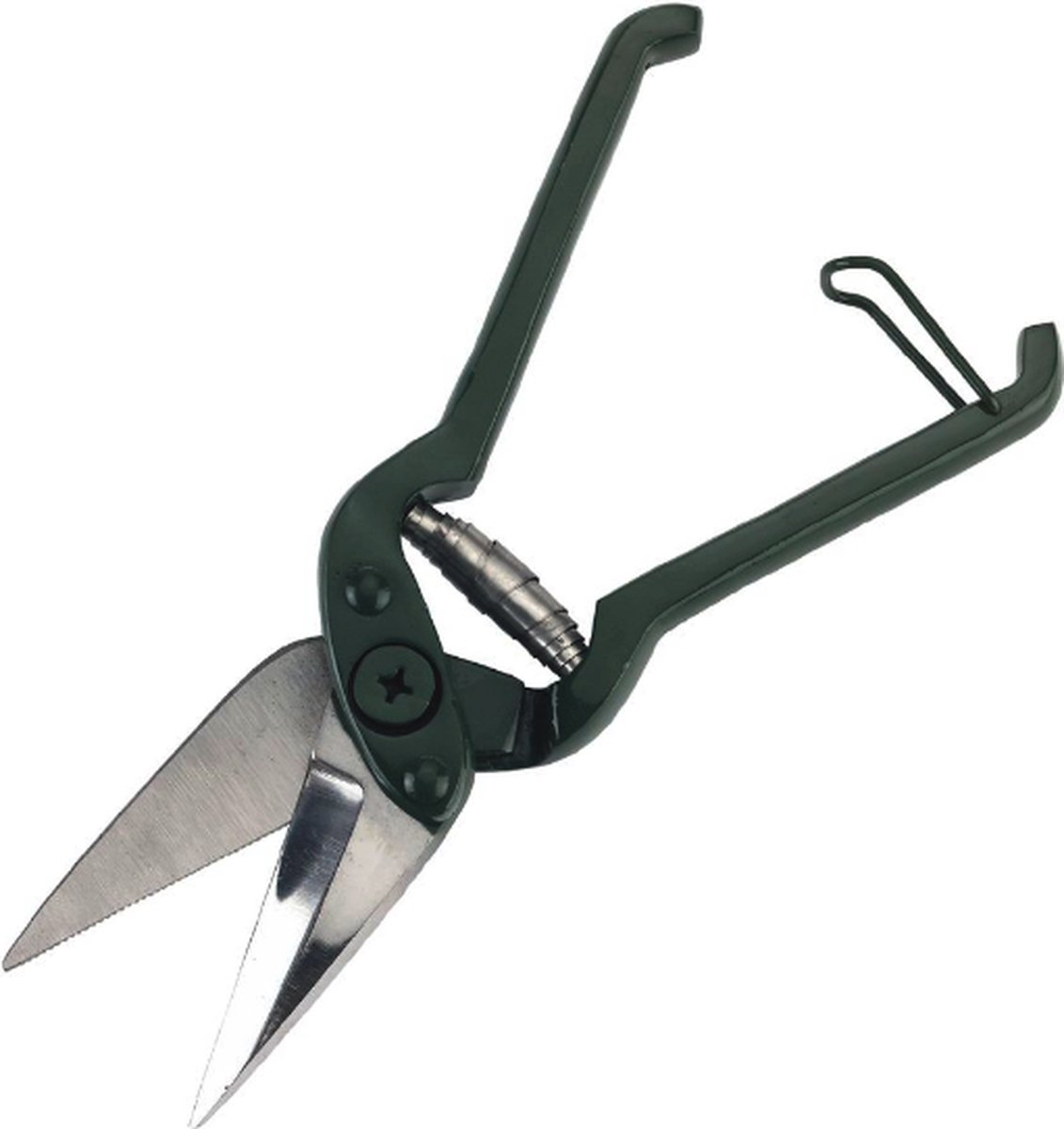 Schapenhoefschaar groen