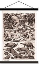 Porte-affiche avec affiche - Affiche scolaire - Reptiles - Animaux - Zwart - Wit - 60x90 cm - Lattes noires