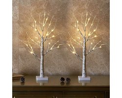 oCreon Set van 2 Lichtjesbomen 60 cm met 24 LEDs Warmwit - Berken Takken - Batterij Kerstdecoratie