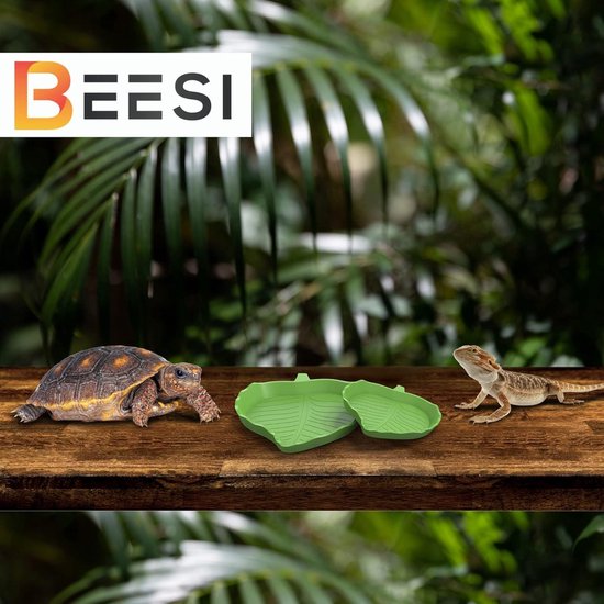 Vind terrarium schildpad in Dieren en Toebehoren op