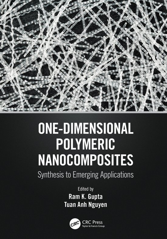 One-Dimensional Polymeric Nanocomposites - cover