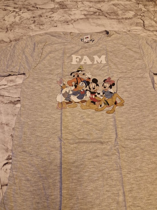 T-Shirt - Disney - Fam Donald Duck - Grijs - Mt 164