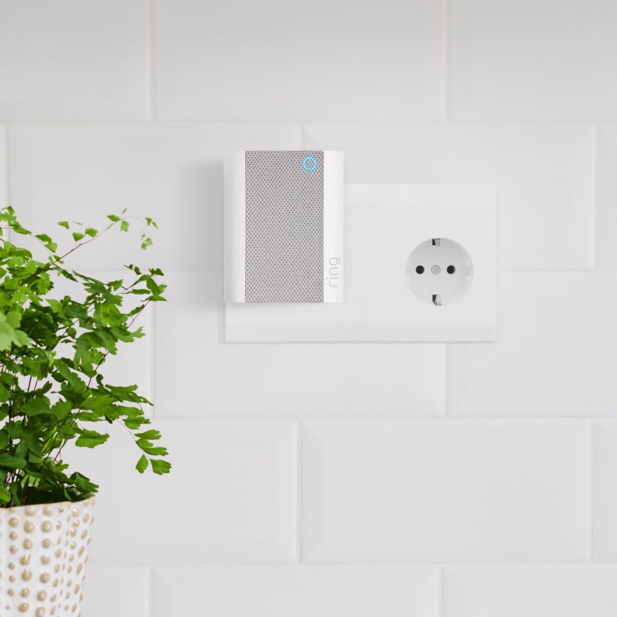 Ring Battery Video Doorbell Plus met Chime (2nd Gen) – foto 7