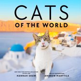 Katten van de wereld met op de voorgrond een cyperse kat. Achtergrond van Santorini.