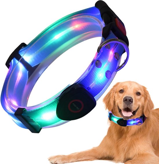 Un golden retriever tenant un collier LED lumineux multicolore dans sa gueule, à côté d'un grand collier identique.